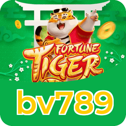 Equipe de suporte ao cliente da bv789